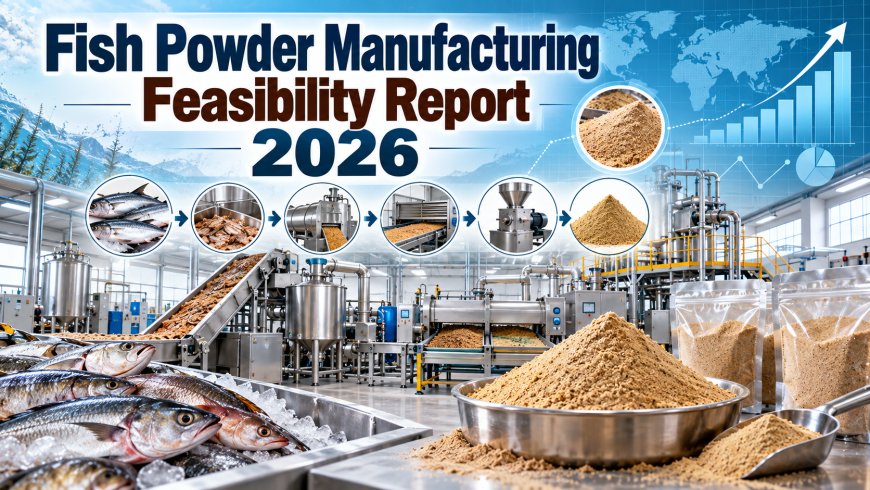 Setting Up a Fish Powder Manufacturing Plant Project Report 2026: Complete Business Plan