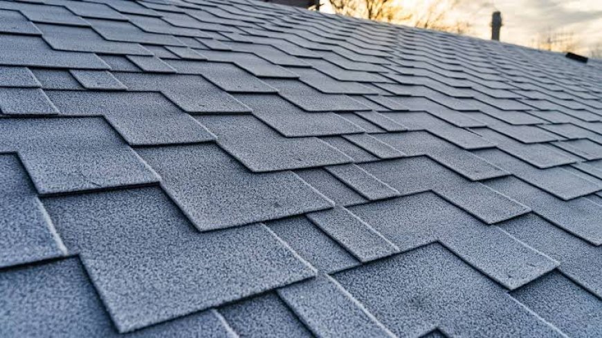 What Roofing Materials Work Best for Homes in Green Bay’s Cold Climate?