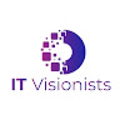 IT Visionists