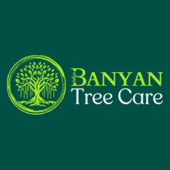 Banyan Tree Removal