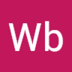 Wb Digitech