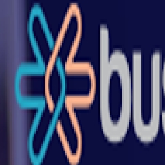 Business bid Seo